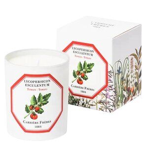 Carrière Frères Tomato Candle Lycopersicon Esculentum 6.5 oz NIB